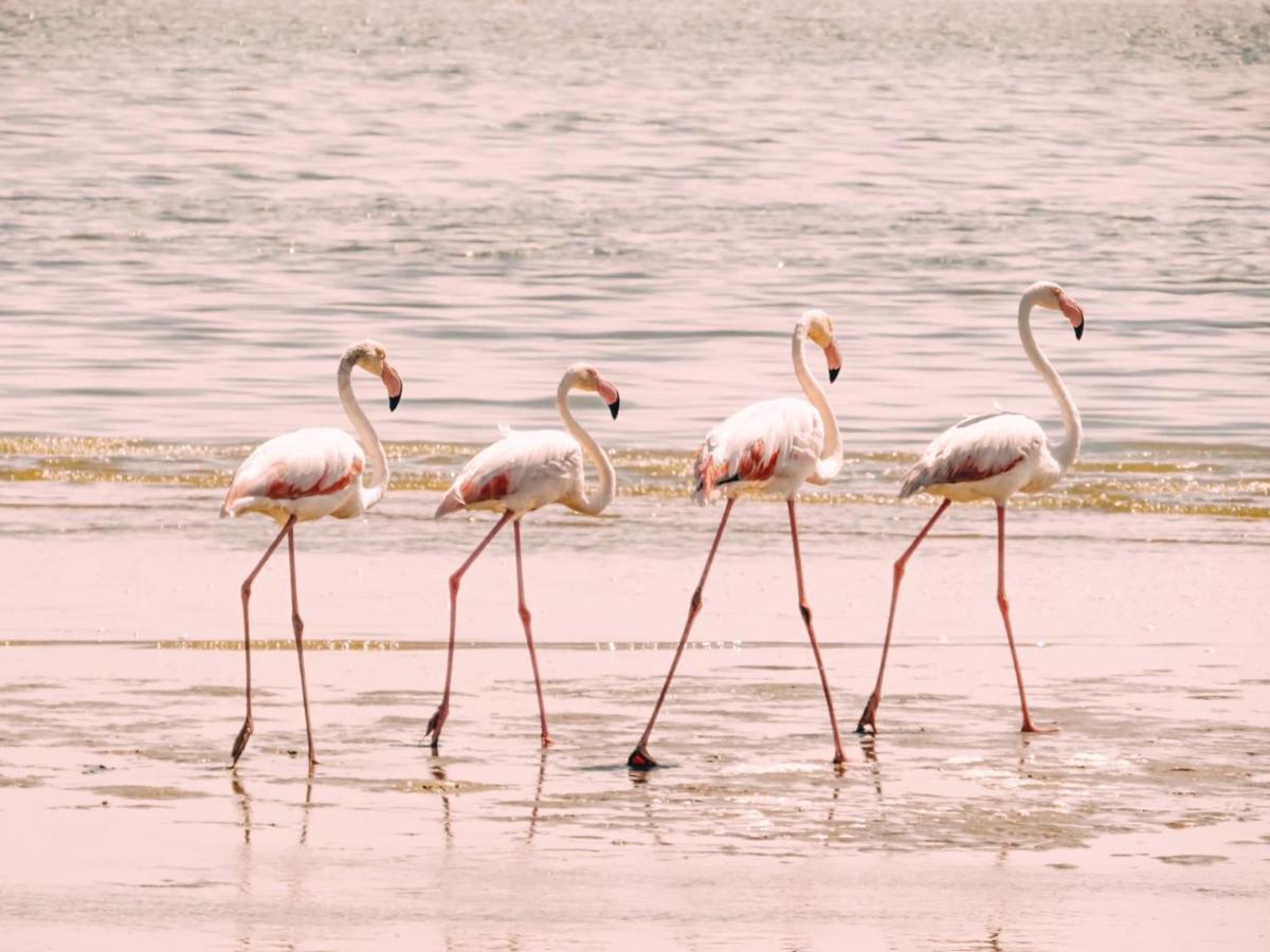 Lagoon View Self Catering Walvis Bay Zewnętrze zdjęcie