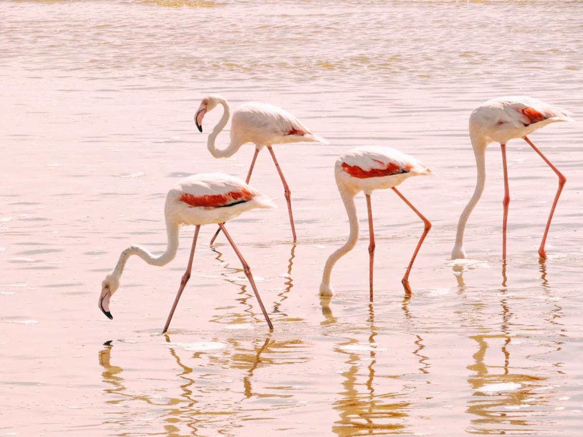 Lagoon View Self Catering Walvis Bay Zewnętrze zdjęcie