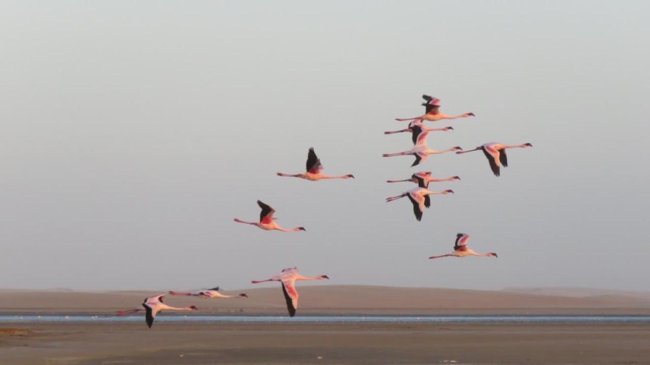 Lagoon View Self Catering Walvis Bay Zewnętrze zdjęcie