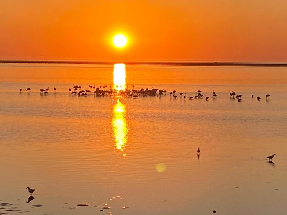 Lagoon View Self Catering Walvis Bay Zewnętrze zdjęcie
