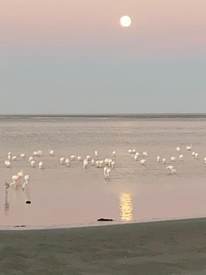 Lagoon View Self Catering Walvis Bay Zewnętrze zdjęcie