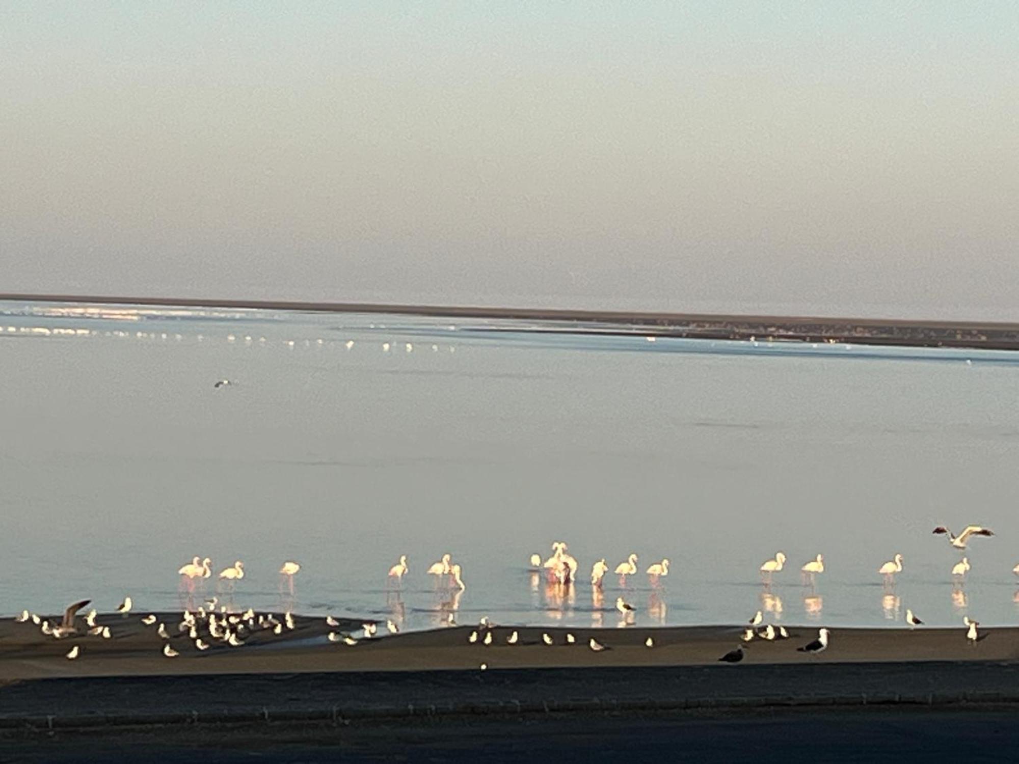 Lagoon View Self Catering Walvis Bay Zewnętrze zdjęcie