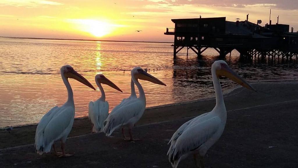 Lagoon View Self Catering Walvis Bay Zewnętrze zdjęcie